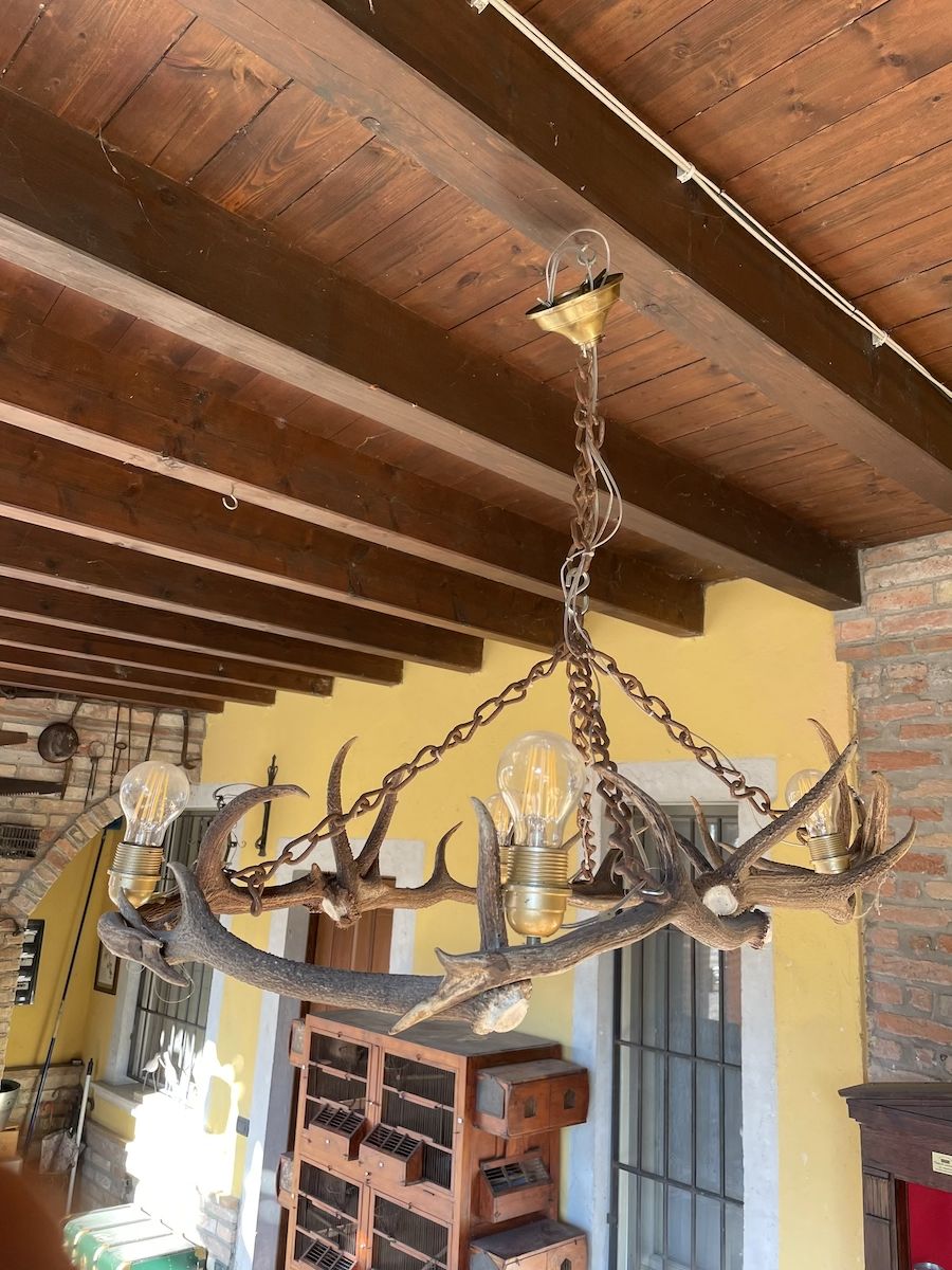 Authentic horns chandelier 2020...jpg