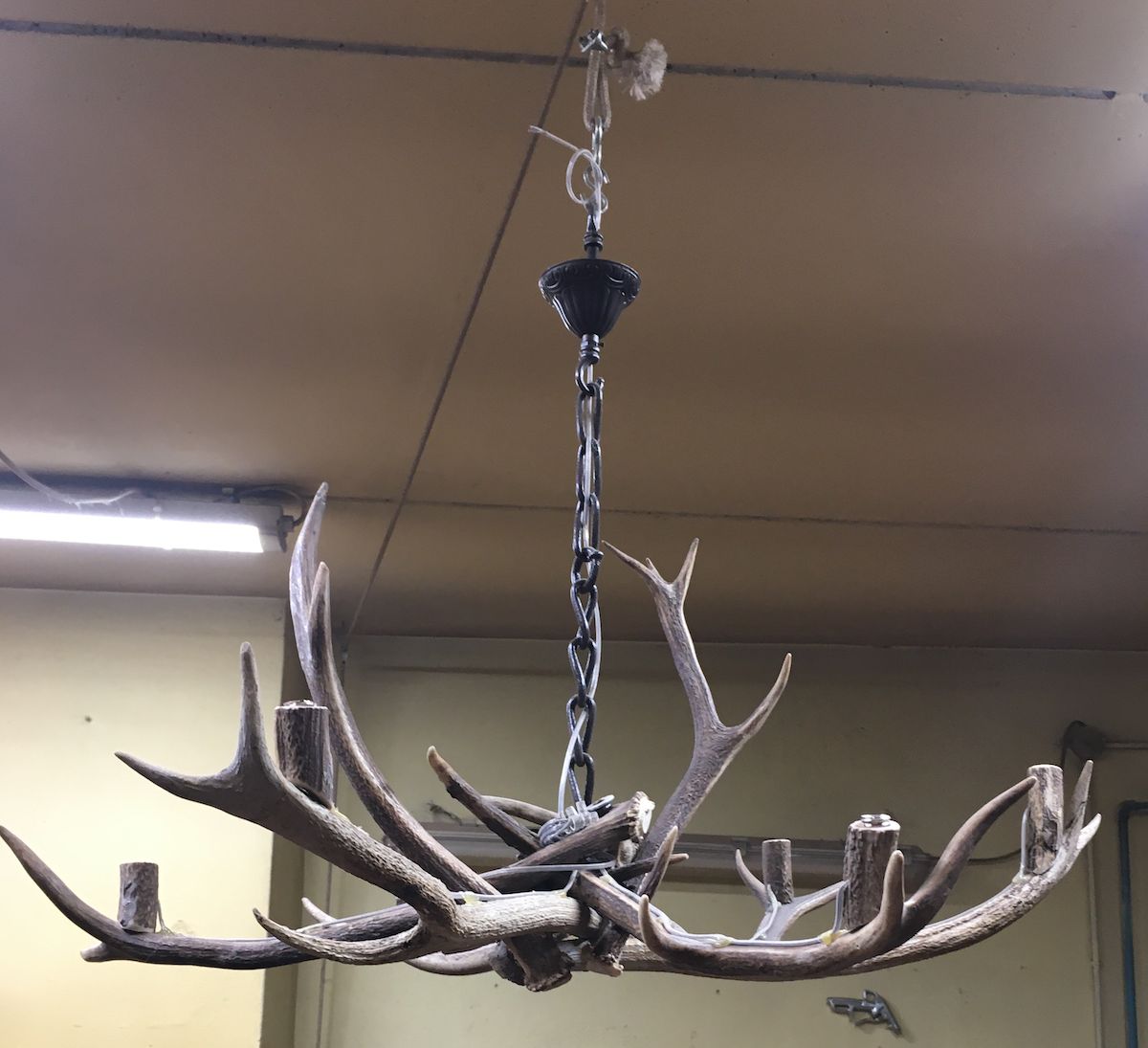 Deer antler chandelier 1434.png
