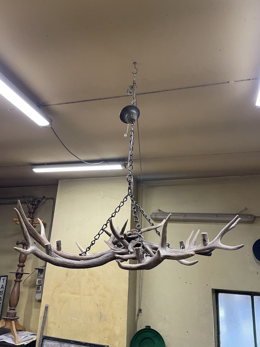 Cervo horns chandelier img_1745.jpg