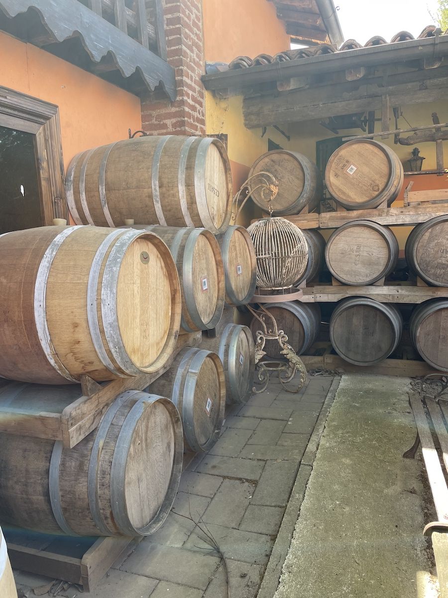 Barrels for wine img_33304.jpg